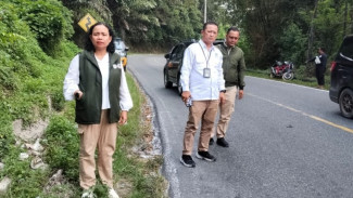 Satwa Liar Dilindungi Tewas Terlindas di Simalungun, BKSDA Pematangsiantar: Macan Akar, Bukan Harimau Sumatera