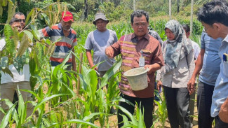 Penguatan Ekonomi Lokal, PT Dairi Prima Mineral Optimalkan Agribisnis Berkelanjutan