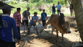 Salurkan Hewan Kurban ke Aceh Tamiang, KAI Sumut Wujud Kepedulian ke Masyarakat Pasca Banjir