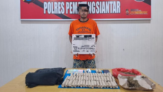 Polres Pematangsiantar Tangkap Pengedar Narkoba, Sita Puluhan Paket Ganja Kering Siap Konsumsi
