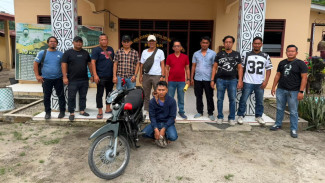 Polsek Bosar Maligas Bekuk Pencuri Lembu di Simalungun, Ternak Korban Ditemukan di Batubara