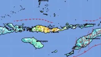 Gempa 7.7 Magnitudo Guncang NTT, Picu Tsunami
