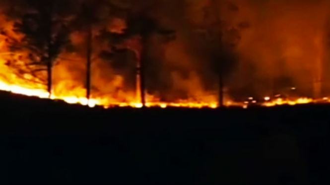 Perbukitan Paropo Kabupaten Dairi terbakar