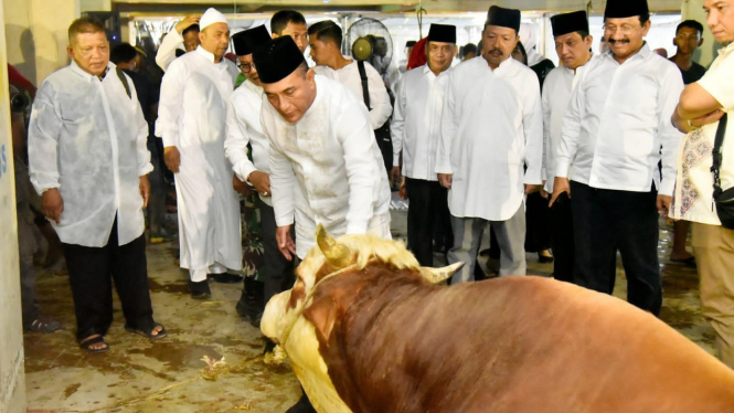 Gubernur Sumut, Edy Rahmayadi serahkan 150 ekor sapi kurban