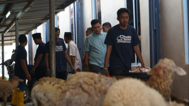 Pertamina Patra Niaga Regional Sumbagut salurkan 87 ekor hewan kurban.