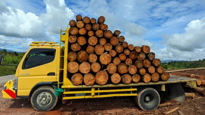 Truk pengangkut puluhan kayu ilegal logging diamankan DLHK Sumut.