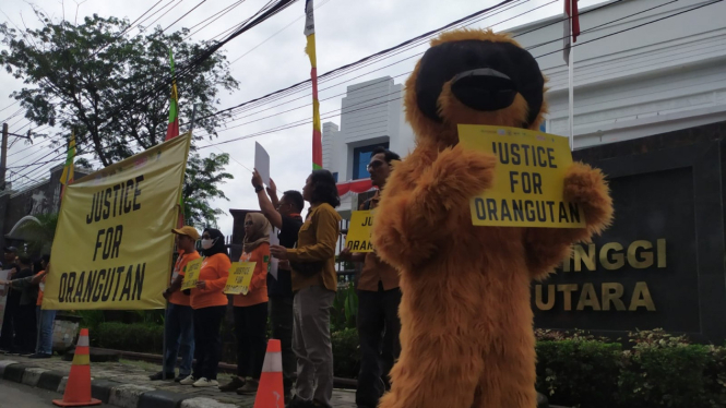 'Orangutan' datangi Kejati Sumut protes vonis ringan Bupati Langkat Nonaktif, Terbit Rencana Perangin-angin.