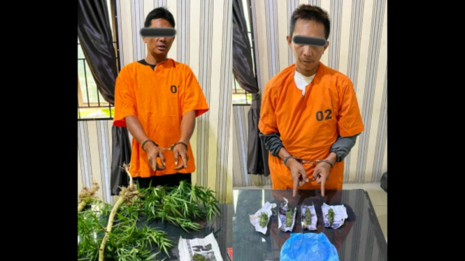 Tersangka AG (pengedar ganja) dan DS (penanam ganja).