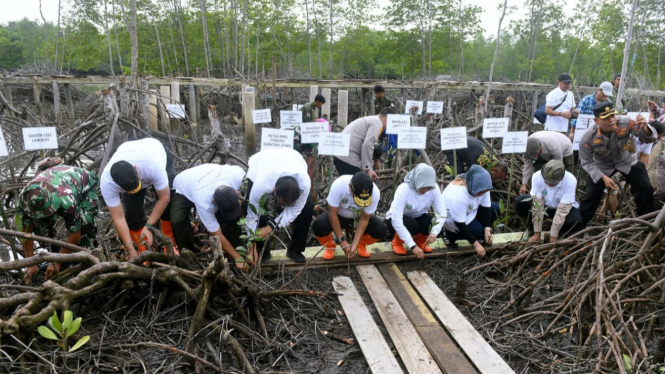 Aksi penanaman dan pemeliharaan pemulihan kawasan hutan dan penyelamatan ekosistem mangrove di Kabupaten Langkat.