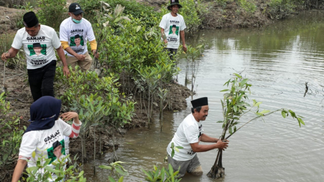 Usbat Ganjar Sumut bersama masyarakat tanam mangrove di Langkat.