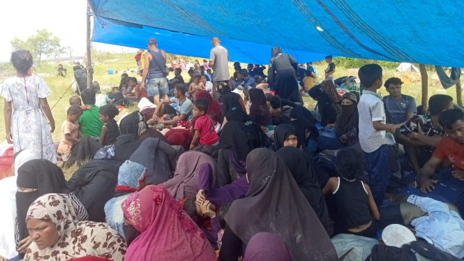 Ratusan pengungsi Rohingya tiba di Kabupaten Langkat.