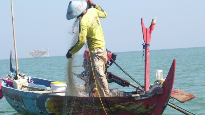 Seorang nelayan sedang menjala ikan di laut
