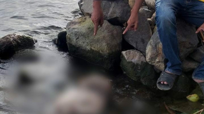 Polisi evakuasi tubuh manusia tanpa kepala di perairan Danau Toba.