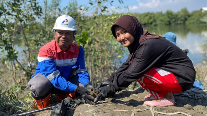 Pertamina Sumbagut gelar aksi bersih dan penanaman mangrove pada peringati Hari Lingkungan Hidup.