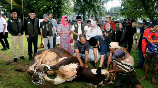 Penyembelihan hewan kurban di UPT Mekanisasi Pertanian Sumut.