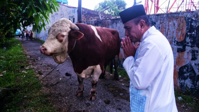 Edy Rahmayadi menyerahkan sapi ternaknya untuk disembelih.