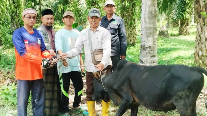 PT Raya Padang Langkat salurkan daging kurban kepada masyarakat.