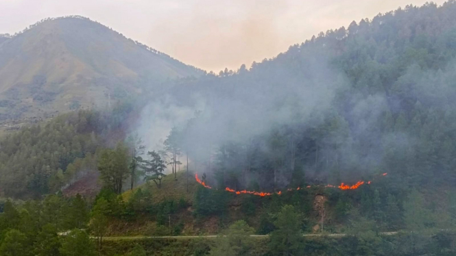 Kebakaran Hutan Lindung di Danau Toba, Kabupaten Samosir.