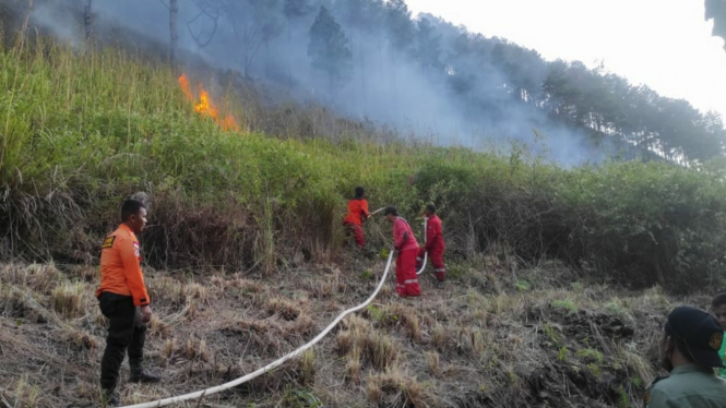 Petugas melakukan pemadaman kebakaran Hutan Lindung di Danau Toba, Kabupaten Samosir.