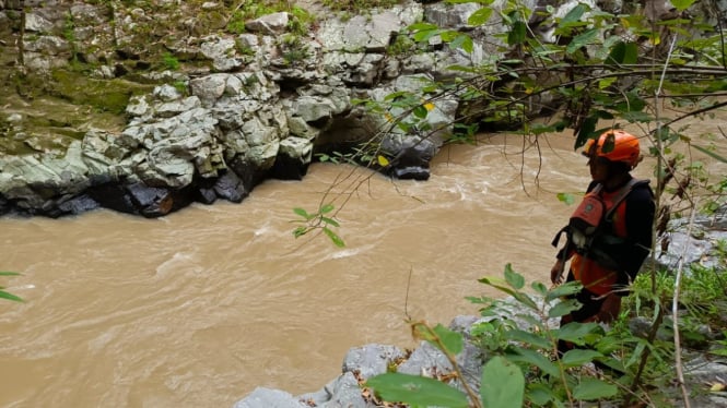 Tim SAR melakukan pencarian korban hanyut di Sungai Lalu Renun, Dairi.