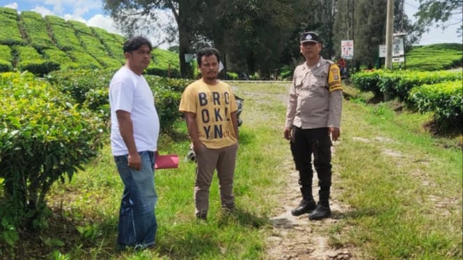 Polisi amankan TS, pelaku pungli  di kebun teh Sidamanik.