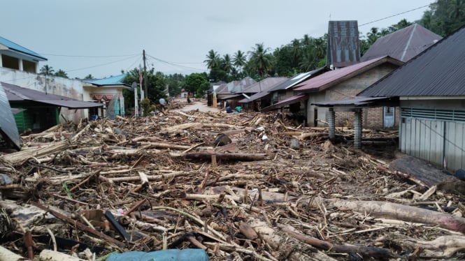 Pepohonan dan tanah berlumpur yang terbawa banjir bandang di Tapsel.