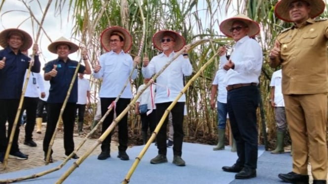 Menko Pangan, Zulkifli Hasan panen di area Perkebunan Tebu PT Sinergi Gula Nusantara (SGN) yang ada di Dusun Sido Mulio Desa Kwala Begumit, Kabupaten Langkat, Selasa 21 Januari 2025.