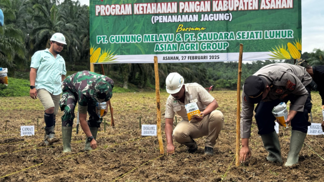 Asian Agri lakukan penanaman 60.000 benih jagung di lahan seluas 1,07 ha sebagai mendukung program ketahanan pangan.