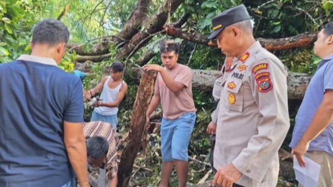 Petugas kepolisian saat melakukan evakuasi korban tertimpa pohon di Kabupaten Labuhanbatu.