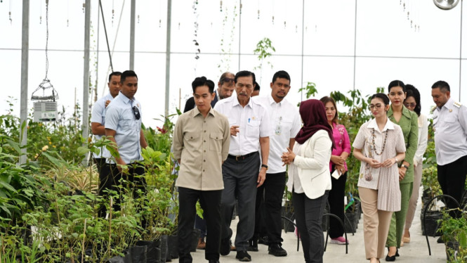 Wapres RI, Gibran Rakabuming  meninjau Taman Sains Teknologi Herbal dan Hortikultura (TSTH2) di Kabupaten Humbahas.