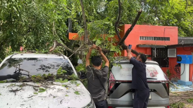 Pohon besar tumbang timpa Kantor Pos dan dua mobil.
