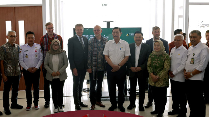 Ketua DEN, Luhut Binsar Pandjaitan.