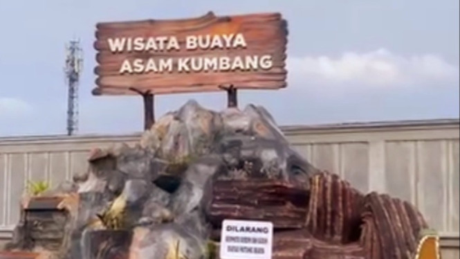 Wisata Buaya Asam Kumbang Medan.