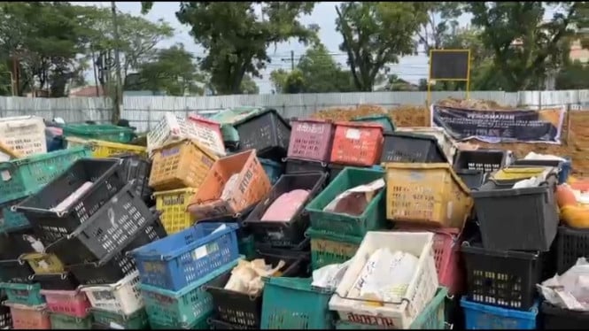 14,6 ton mangga ilegal asal Thailand dimusnahkan.
