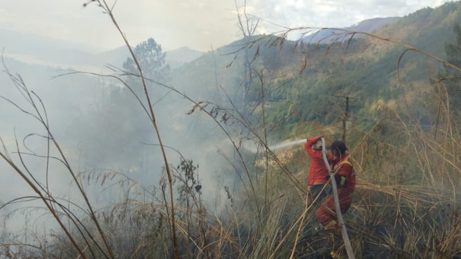 Proses pemadaman api di kawasan Menara Pandang Tele, Samosir.