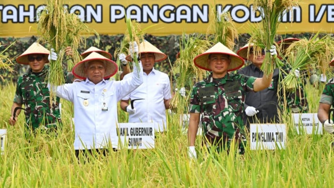 Panglima TNI Agus Subiyanto panen raya padi di Deli Serdang.