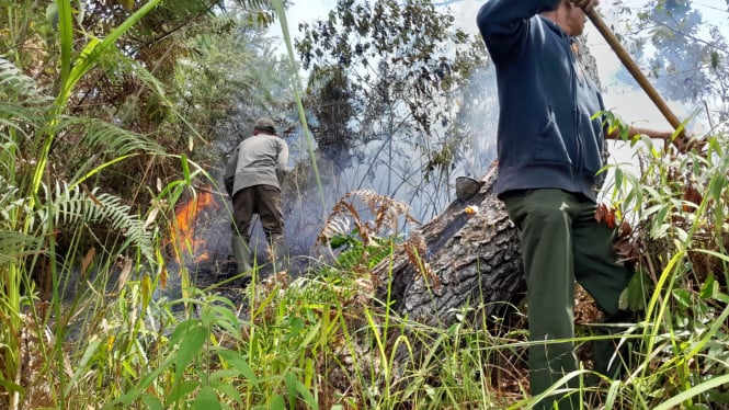Kerhutla terjadi di Kabupaten Tapanuli Utara.