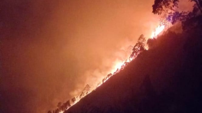 Kebakaran Hutan di Kabupaten Samosir.