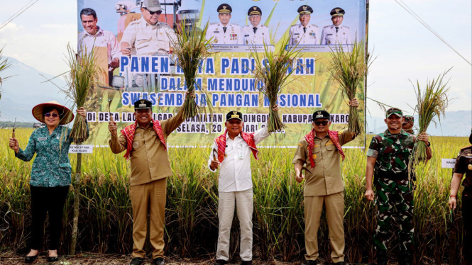 Wagub Sumut, Surya panen raya di Kabupaten Karo.