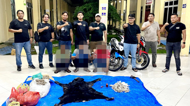 Polres Simalungun amankan tiga pelaku bersama barang bukti satwa liar dilindungi.
