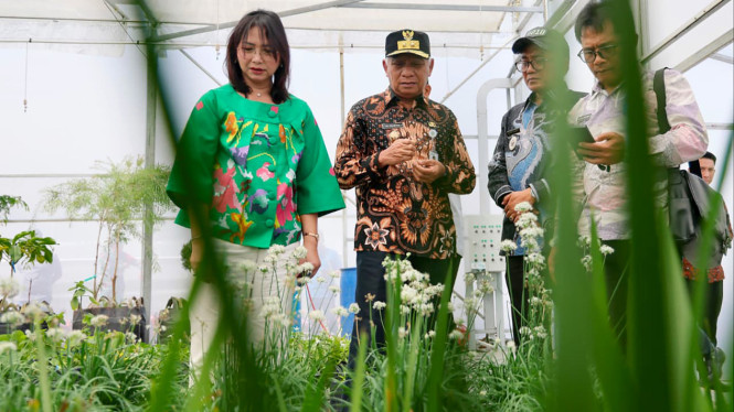 Wagub Sumut, Surya.