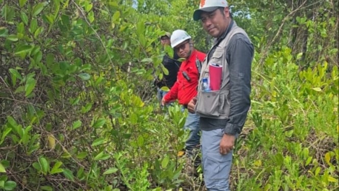 Rehabilitasi DAS dilakukan PT DPM di kawasan hutan produksi terbatas di Kabupaten Langkat.