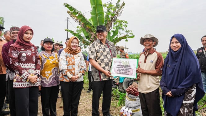 Targetkan 13 Ton, Pemkab Deli Serdang Sulap Lahan di Namorambe Jadi Sentra Baru Bawang Merah