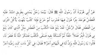 Hadis Menyayangi Binatang Hadis Menyayangi Binatang