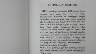 Photo Mini 2