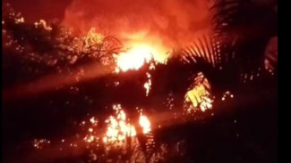 Kebakaran Besar di Denpasar Selatan Gudang Pot Bunga Ludes Terpanggang