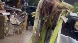 Banjir Besar Terjang Denpasar, Ratusan Kendaraan Terseret Arus