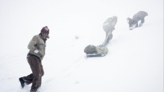 7 Film Survival Netflix Terbaik yang Bikin Deg-degan