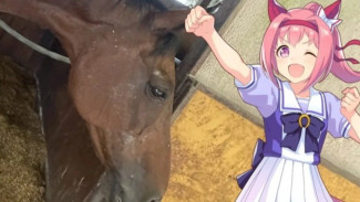 Haru Urara, Kuda Legendaris dan Inspirasi di Uma Musume, Wafat di Usia 29 Tahun