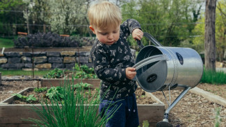 5 Manfaat Mengajak Anak Berkebun, Aktivitas Seru untuk Belajar Lingkungan